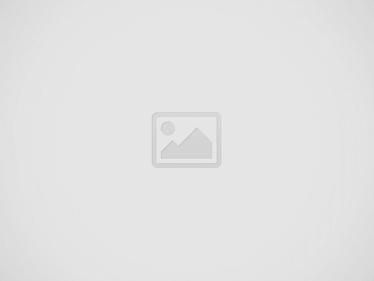 google-pixel-9-series-latest-phone